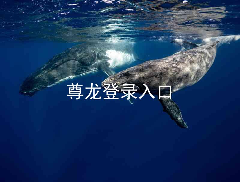 尊龙登录入口
